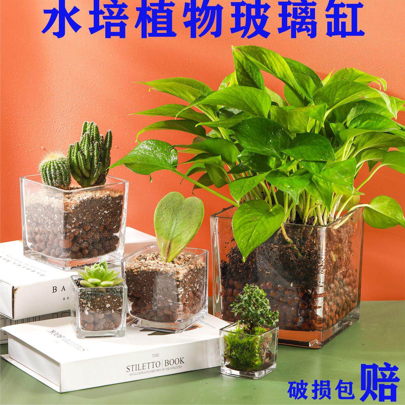 简绿约水花培盆正方形玻璃花透明萝水养厂家直供植物瓶器皿乌龟缸