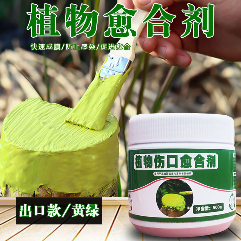 树木伤口合剂树干补剂生物菌肥