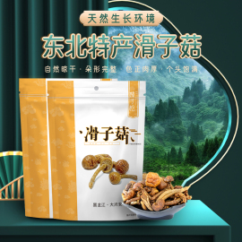 樟子松有机滑子菇菌蘑类东北小黄干货一山珍土特产级大兴安岭100g