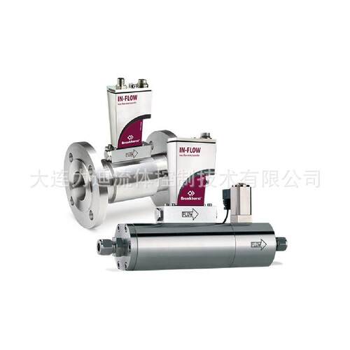 供应荷兰MASS流量计D-6310