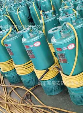 矿用隔爆型潜水排沙电泵 BQS600-50-160kw 660v1140v 防爆潜污泵