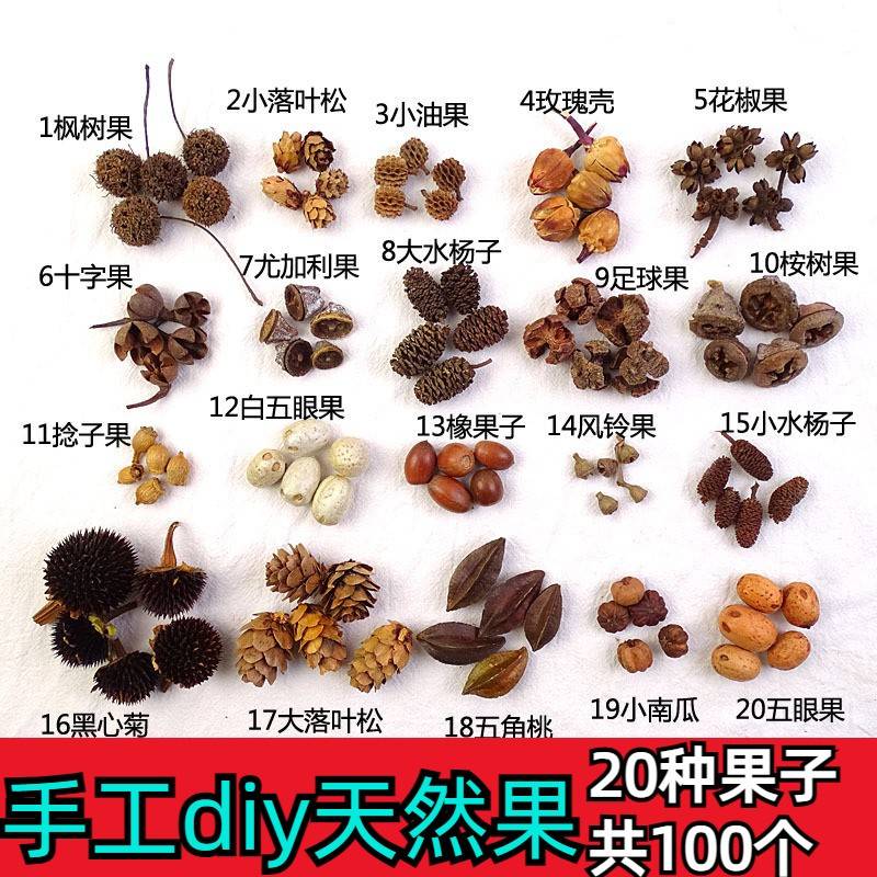 幼儿园自然物材料diy手工果子0种150个天然果实橡果松果拍摄道具