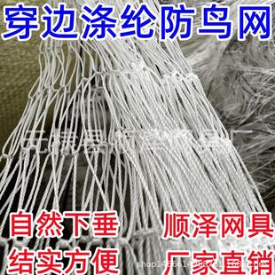 高强涤纶防鸟网果园鱼塘防鸟网尼龙复丝葡萄网寿命更长