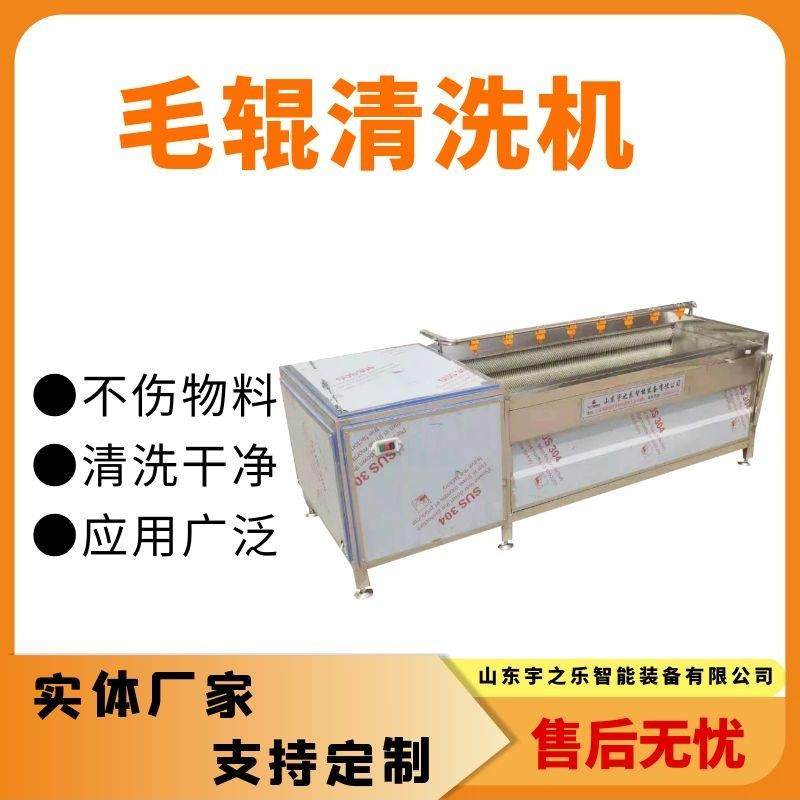 土豆去皮清洗机商用果蔬清洗去皮设备毛辊红薯清洗机