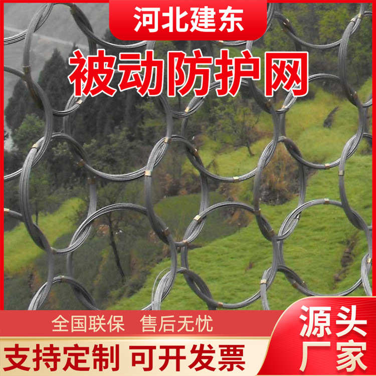 被动边坡防护网 铁路隧道沿线落石RX钢丝绳网 山体滑坡镀锌菱形网
