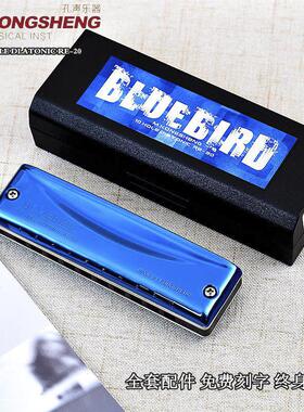 布鲁斯蓝调通用孔声蓝鸟专业10孔演奏BLUEBIRD-RE20十孔paddy口琴