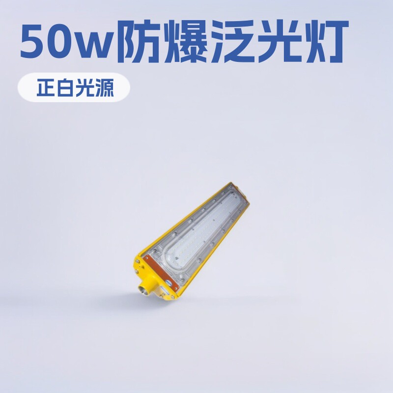海洋王同款50WLED防爆投光灯