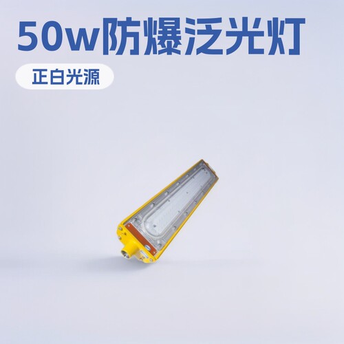 海洋王同款50WLED防爆投光灯