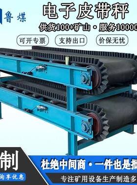 物美价廉电子皮带秤 上门安装矿用电子皮带秤 ICS17B电子皮带秤