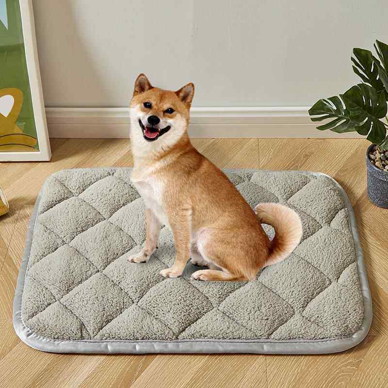 垫子宠物睡垫冬季保暖垫可防滑狗垫冬天猫咪垫地毯兔笼子狗窝毯子,宠物/宠物食品及用品,猫狗垫子,淘宝优惠券,粉丝福利购,淘宝优惠卷