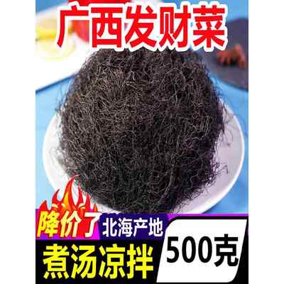 广西北海发财菜500g海鲜干货海藻菜海带丝新鲜凉拌菜海发菜特产