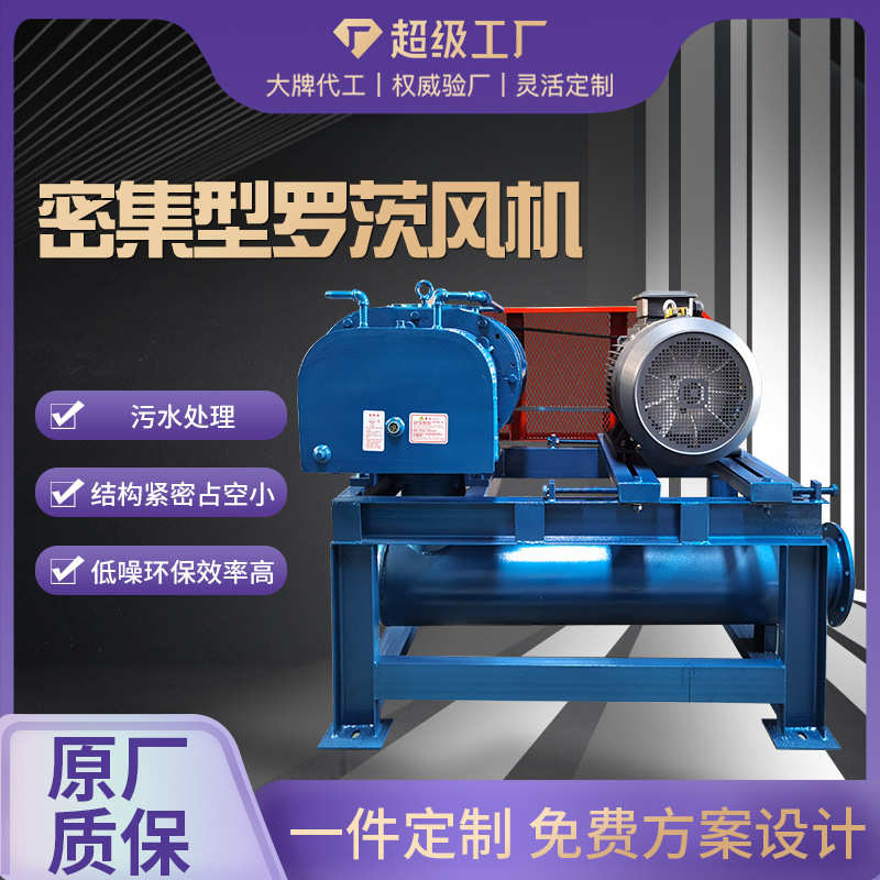 密集型罗茨鼓风机定制 高压风机 气力输送 污水处理