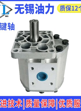 液压油泵CBNBT-FEG5205油25HSO53254050F63花键平键齿C轮5泵高效