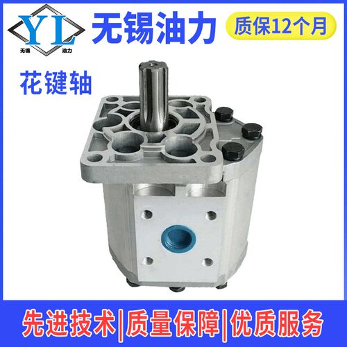 液压油泵CNCB-FEG520F52553254055063花键PUPT平键B齿轮油泵高效
