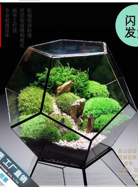 厂家直销爆款十二面体大玻璃花房绿植透明创意苔藓微景观多肉花盆