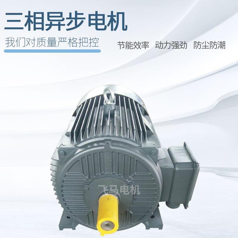 Y2YE3-1000L112M132132-81.1KW1.5KW2.2KW3KW三相异步电动机电机 机械设备 其他机械设备 原图主图