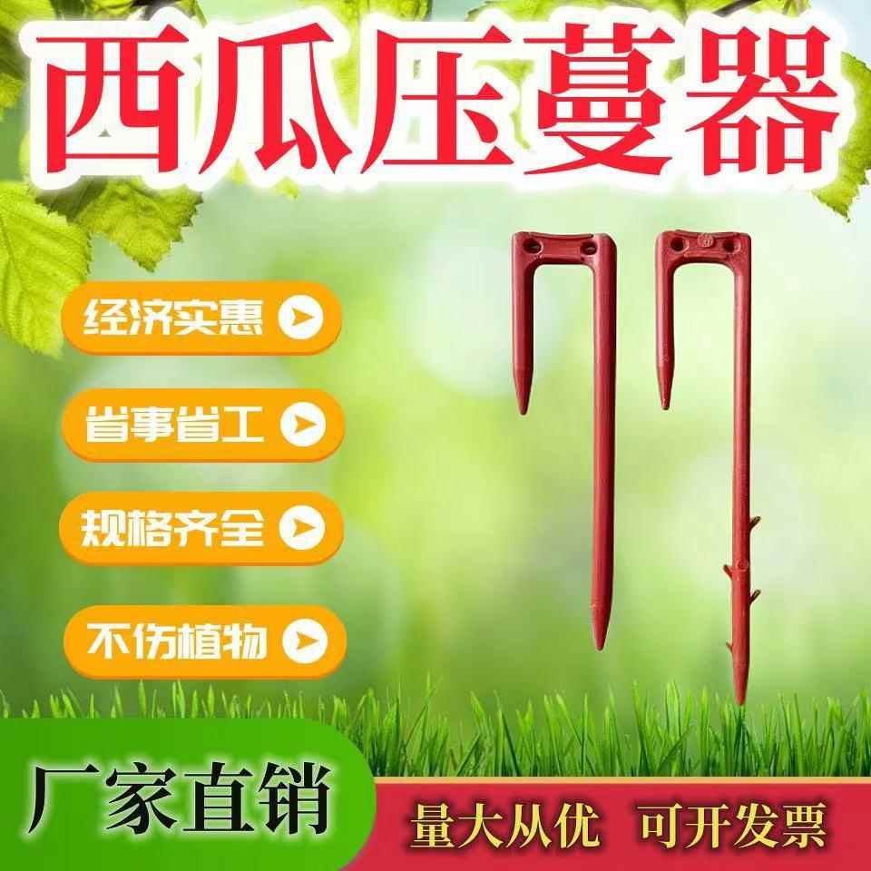 草莓压苗叉西瓜压蔓叉育苗压蔓器压苗藤蔓植物固定器压蔓生根定植