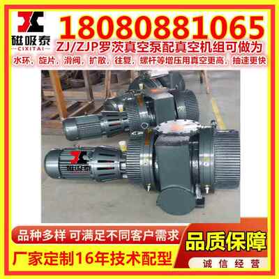 ZJ/ZJWP70罗茨真泵1.1/1.5K空罗茨泵真空蒸馏漳州07L/ACRS真空机