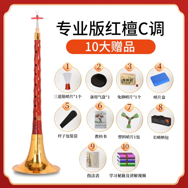 高档王家彪檀木唢呐器初学者D调降精B调全套专业红喇叭大乐小演奏