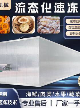 商用手抓饼鸡蛋灌饼冷冻冰柜鱼类海参海鲜极速流态化速冻机设备