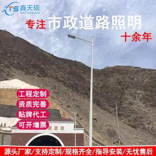 户外市政小区工程道路照明市电灯头 厂家批发LED双臂高杆模组路灯