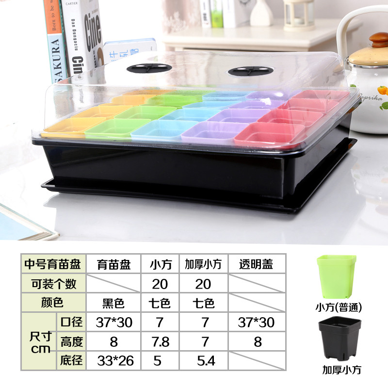 托盘长方形植物塑料花盆育苗盆盘育苗箱小黑方多肉叶插盘搬运整理