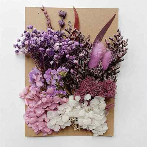 跨亚马逊小手工花材包HCB天然境干花花束芦苇花束饭盒画材板随机