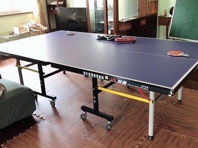 揭秘吐槽双鱼乒乓球桌怎么样有人刚入手又退掉为何?