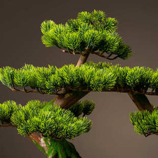 家居仿真迎客松盆景摆件客厅玄关酒店办公室酒柜绿植装 新中式 饰品