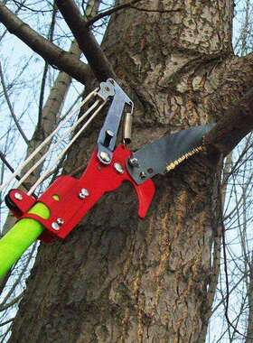 园林绿化二合一高枝剪果园采摘高枝伐木锯4节6M高枝锯ZF010530