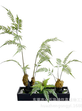 仿真植物造景猴头蕨仿真植物造景组合家居室内落地盆栽假绿植装饰