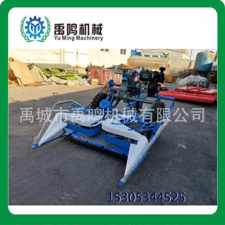 芦苇芝麻 SAM收割捆机 甘肃天水 麦割割晒机稻砍芦苇的机器收割打,农机/农具/农膜,农产品加工设备,淘宝优惠券,粉丝福利购,淘宝优惠卷