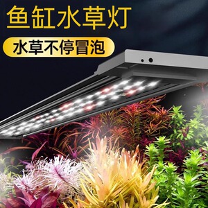 led补光灯疯狂水草水草照明器材