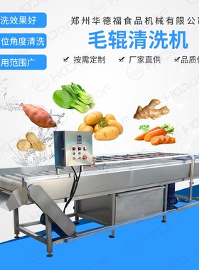 连续式毛刷清洗机平行毛辊清洗设备净菜清洗机器厂家直供