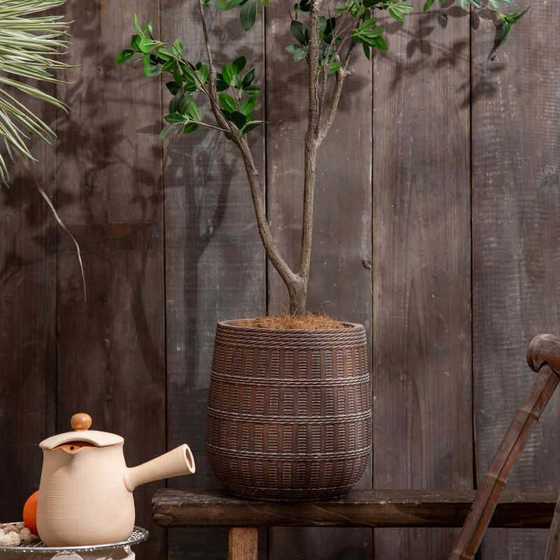 孔雀散落地型藤编镁尾叶带滚轮径葵托盘泥榕大口器木琴花盆篮子盆,鲜花速递/花卉仿真/绿植园艺,花盆,淘宝优惠券,粉丝福利购,淘宝优惠卷