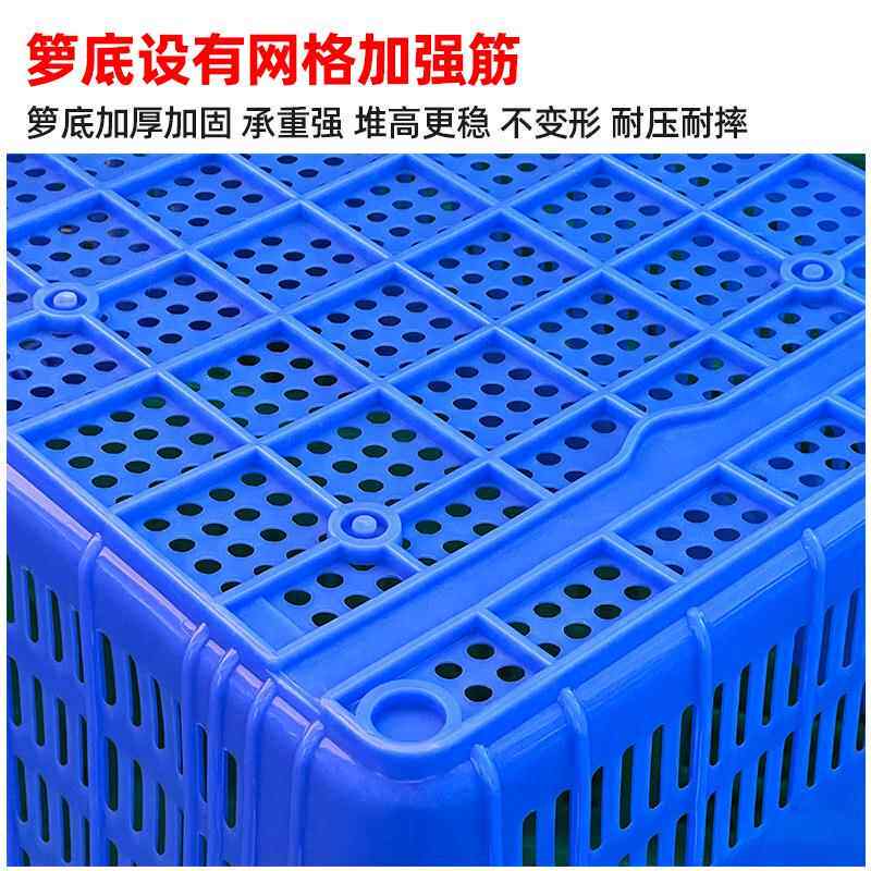 塑料筐008水果菜长方服形空镂卖菜熟胶筐周转筐收蔬纳箱食品箱装