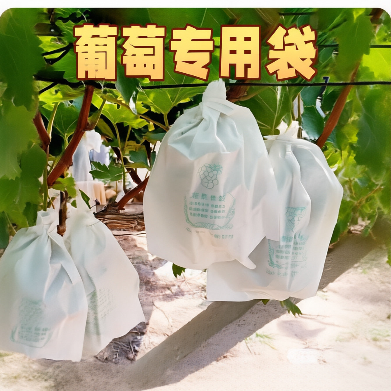 葡萄纸袋白色木浆其它园艺用品