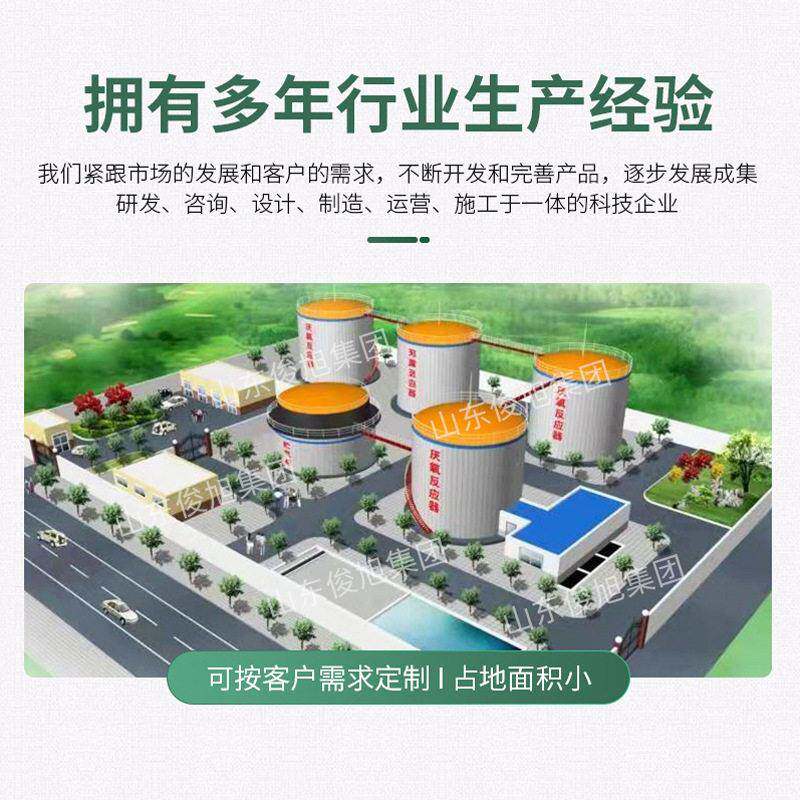 家庭沼气设备 家庭沼气池发电设备 家庭用沼气供暖设备新农村污水