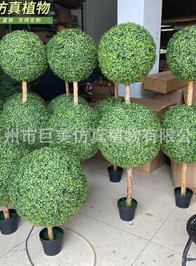 仿真杨梅叶米兰草球盆栽仿真米兰树杨梅球树草球植物盆栽装饰