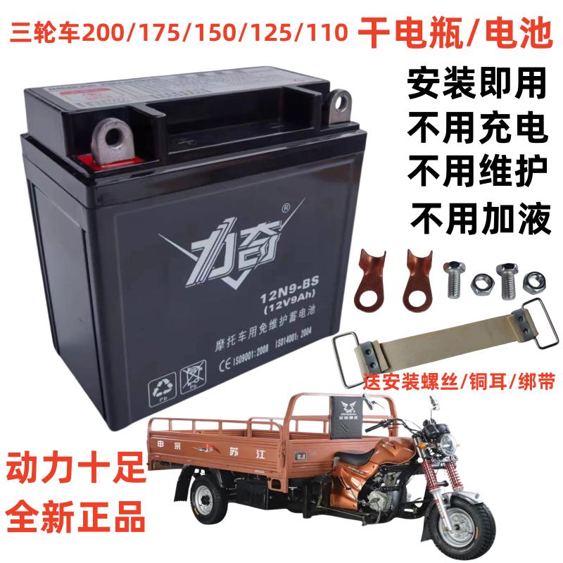 适用隆鑫大阳福田宗申110-175三轮摩托车免维护蓄电池12V9A干电瓶