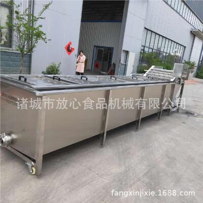 多功能浸色泡清品洗机菜 厂家直销 不锈FX-800钢脱盐机 食蔬护机