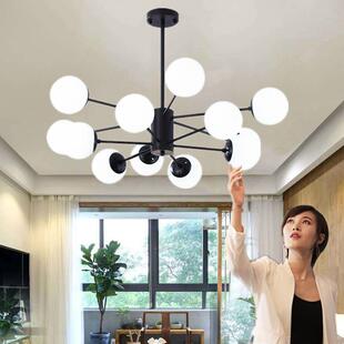 北欧吊灯客厅卧室餐厅店铺商用创意个性 艺术家用网红魔豆分子灯具