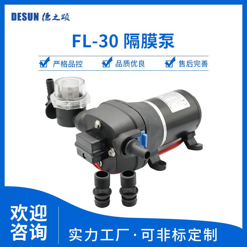 德之颂大流量高扬程微型洗车器水泵多接头增压微型直流电动隔膜泵