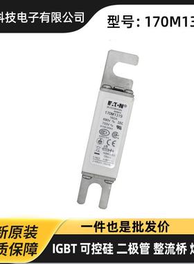 170M7084 170M7085 170M7086 170M7090原厂陶瓷熔断器 保险丝