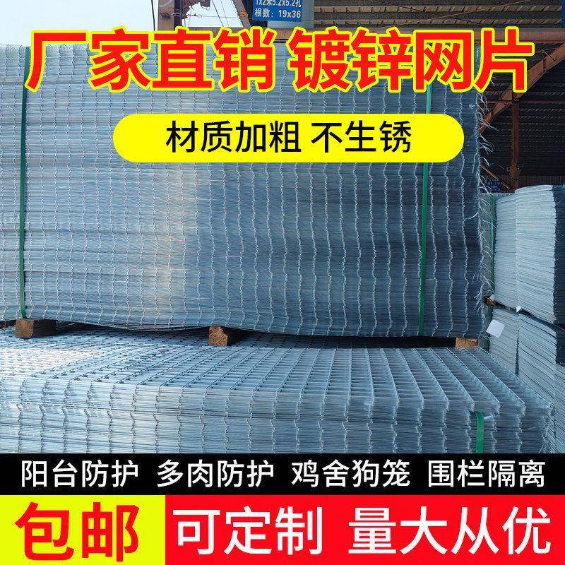 镀锌铁丝网铁网格FE网片加粗锌殖网围栏电铁丝网养围栏镀鸟焊笼网