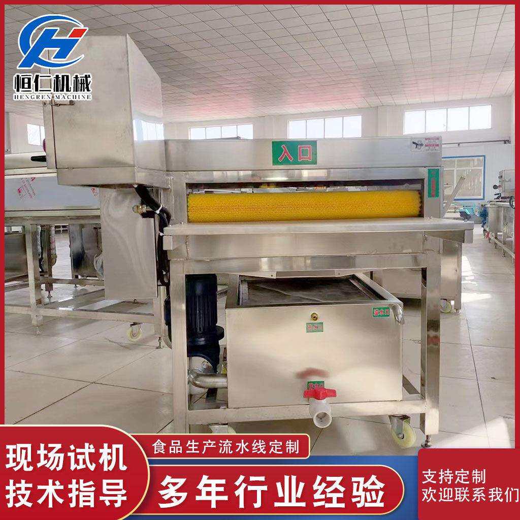 全自动粽叶清洗机芦苇叶毛刷清洗机压喷淋清洗设备糯米叶清洗
