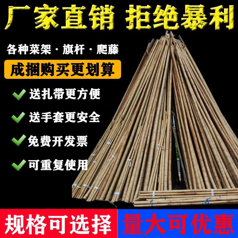 爬藤架毛竹小竹杆菜园搭架瓜棚菜架竹架篱笆彩旗竹竿户外围栏种菜