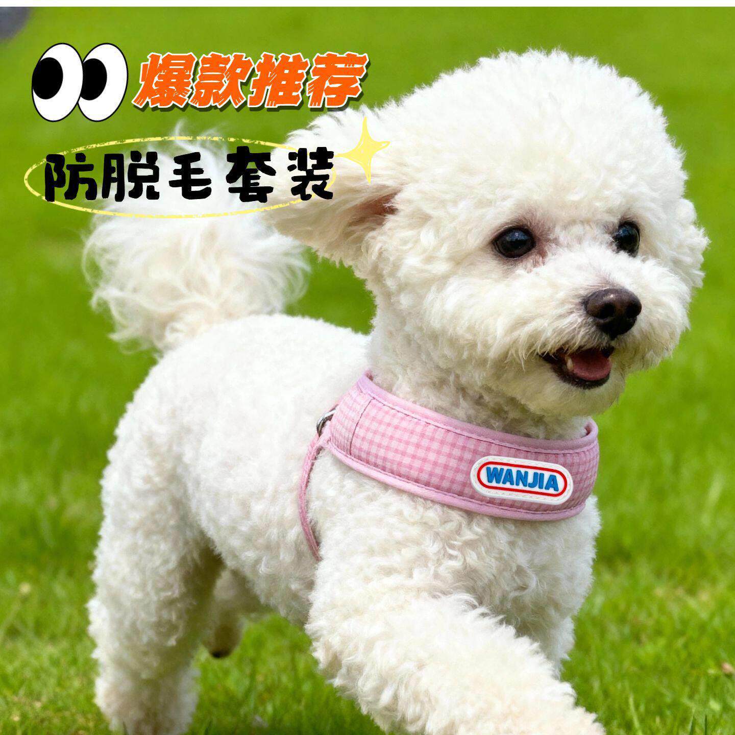 颜值网红狗狗牵引绳胸背带拉胸中小型犬柯基柴犬法斗厂家直销