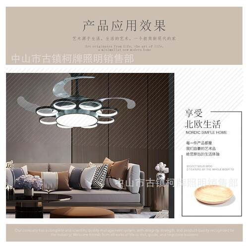 欧式920新款简约风灯家用餐厅灯扇一风体客厅卧室扇风扇灯音吊静