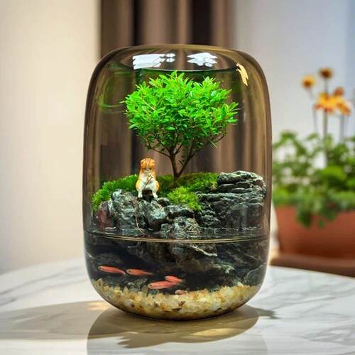 小叶赤楠苔藓微景观鱼缸可养鱼桌面绿植生态缸摆件成品礼物送女友